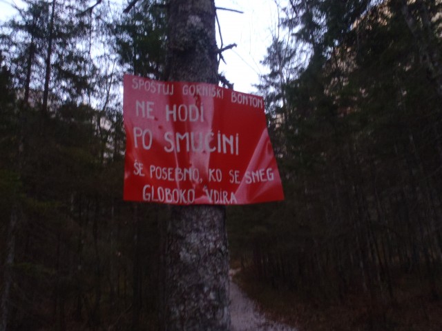 20171017 Vernar in Tosc z Bohinjskih vratc - foto