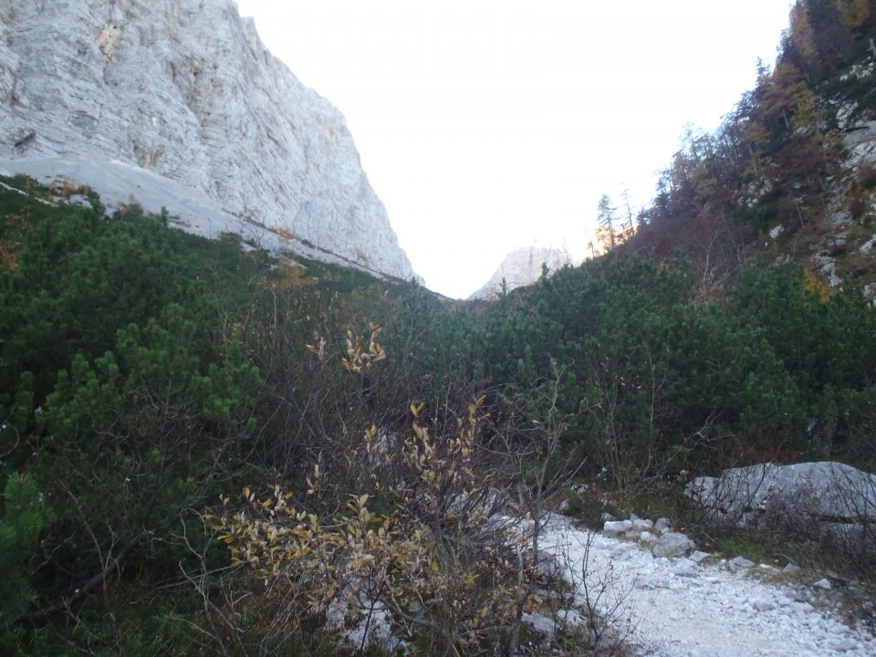 20171017 Vernar in Tosc z Bohinjskih vratc - foto povečava