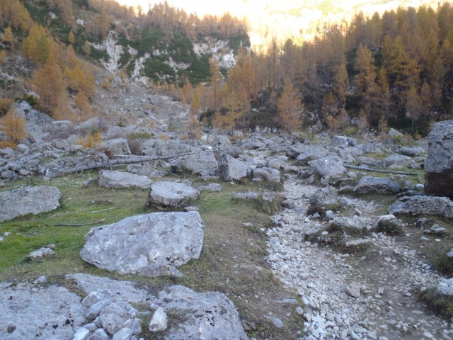 20171017 Vernar in Tosc z Bohinjskih vratc - foto