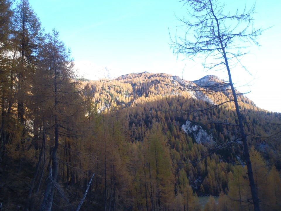 20171017 Vernar in Tosc z Bohinjskih vratc - foto povečava