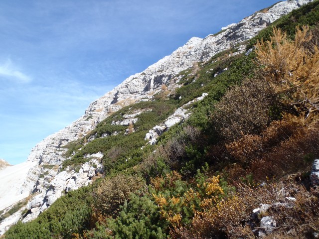 20171017 Vernar in Tosc z Bohinjskih vratc - foto