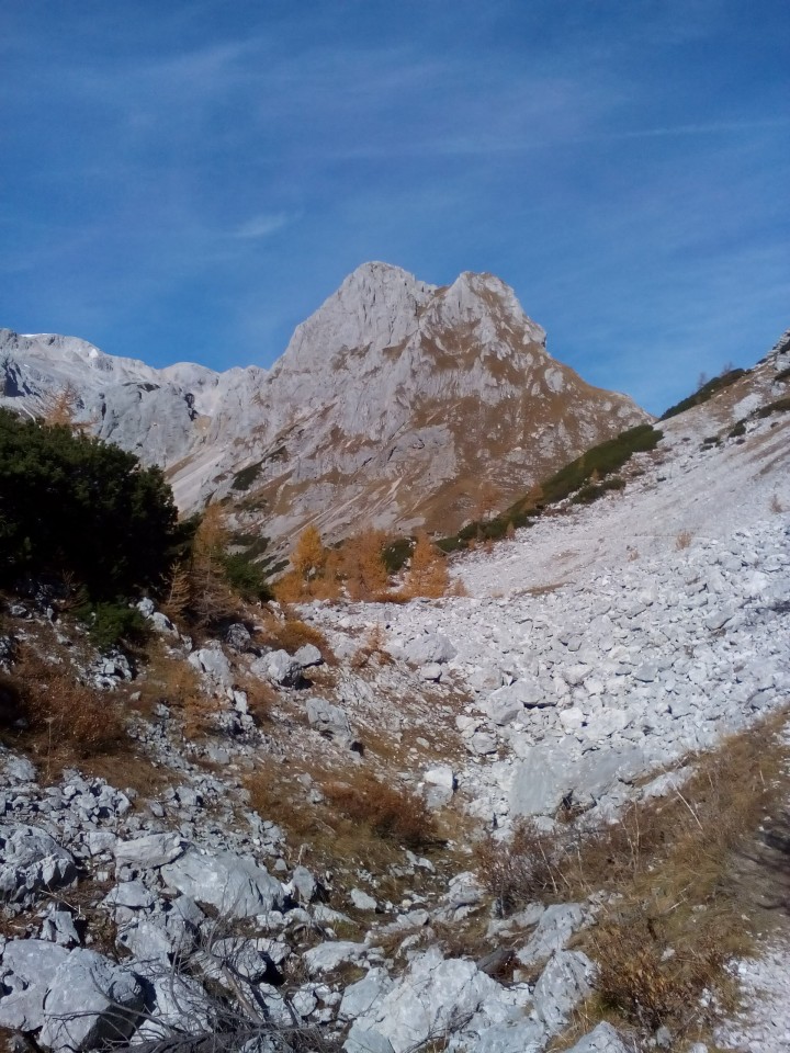 Vernar z južne strani.