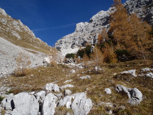 20171017 Vernar in Tosc z Bohinjskih vratc - foto