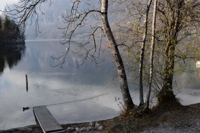 20171119 Bohinj z okolico-foto Lado Klar - foto