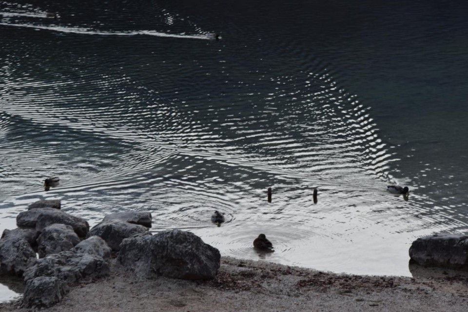 20171119 Bohinj z okolico-foto Lado Klar - foto povečava