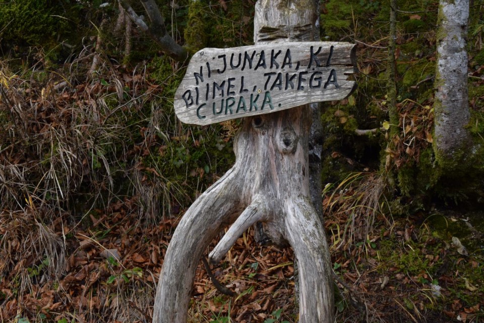 20171119 Bohinj z okolico-foto Lado Klar - foto povečava