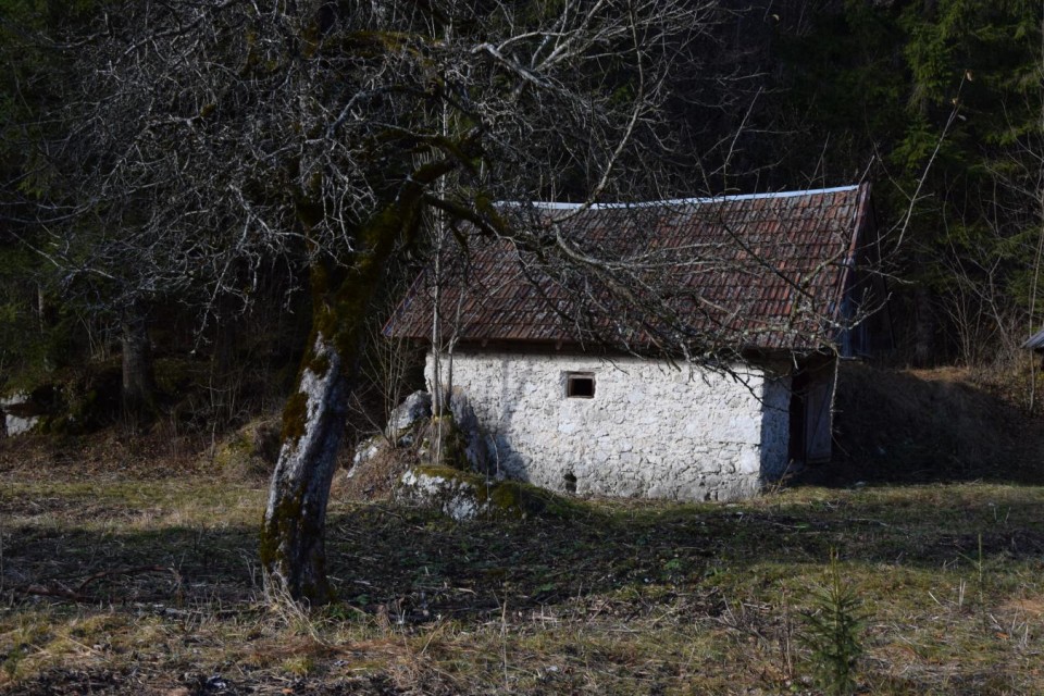 20171119 Bohinj z okolico-foto Lado Klar - foto povečava