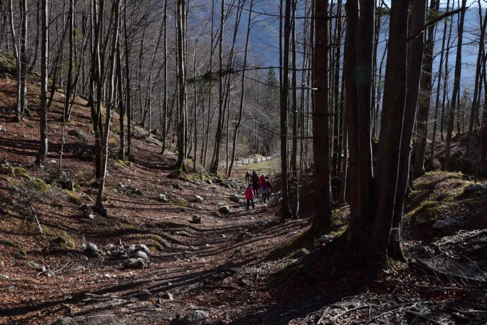 20171119 Bohinj z okolico-foto Lado Klar - foto povečava