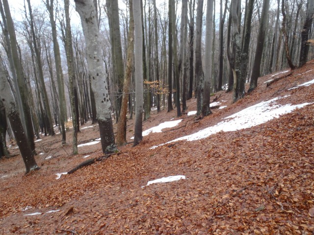 Med V.K. in SV. Lovrencom pa naletiva na krpice snega.