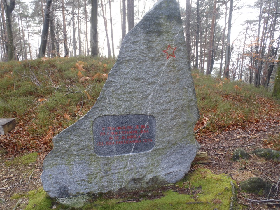 20180128 Šentjur-Rifnik-Resevna-Tolsti v.-Ce - foto povečava