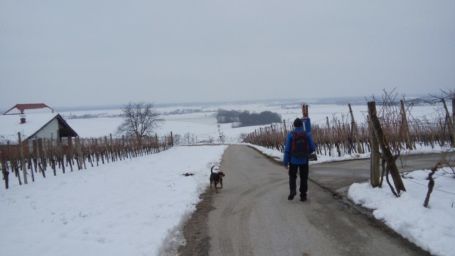 20180210 Martinov pohod Bogojina-Martjanci - foto