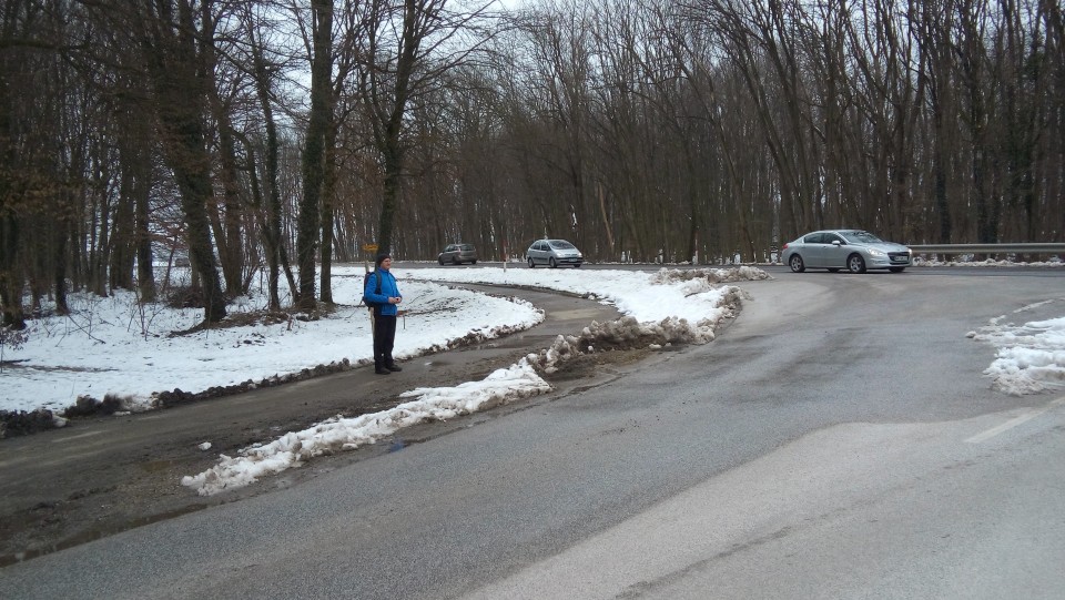 20180210 Martinov pohod Bogojina-Martjanci - foto povečava