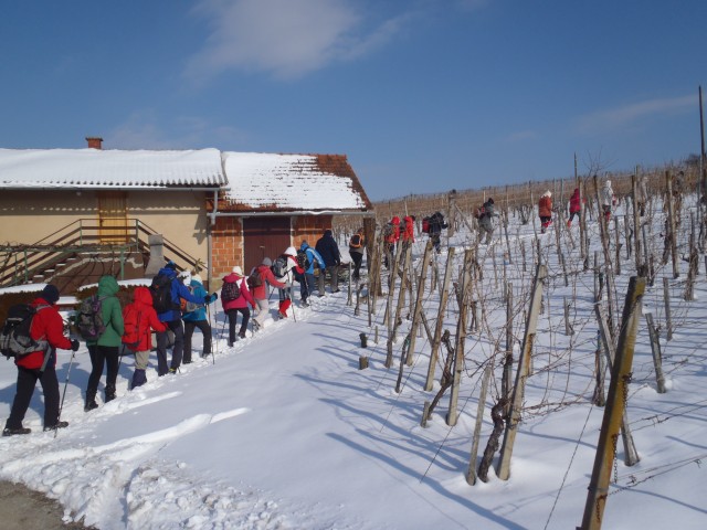 20180225 Mem. Delavec-Žižek, Hancov poh.  - foto