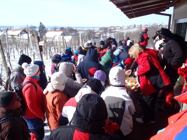 20180225 Mem. Delavec-Žižek, Hancov poh.  - foto