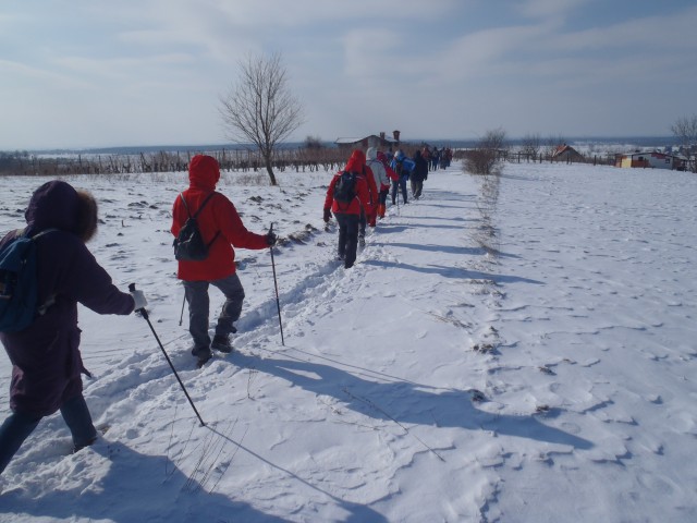 20180225 Mem. Delavec-Žižek, Hancov poh.  - foto