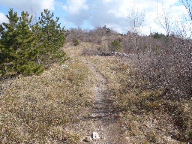 20180308 Cerje-Trstelj-Lipa in Štorija - foto