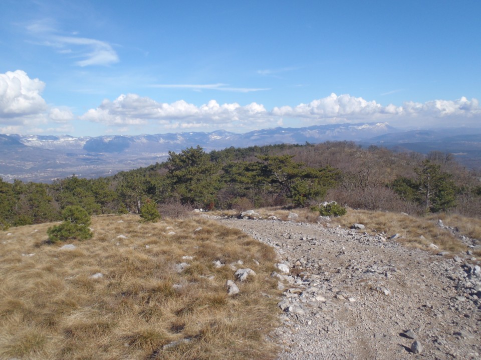 20180308 Cerje-Trstelj-Lipa in Štorija - foto povečava