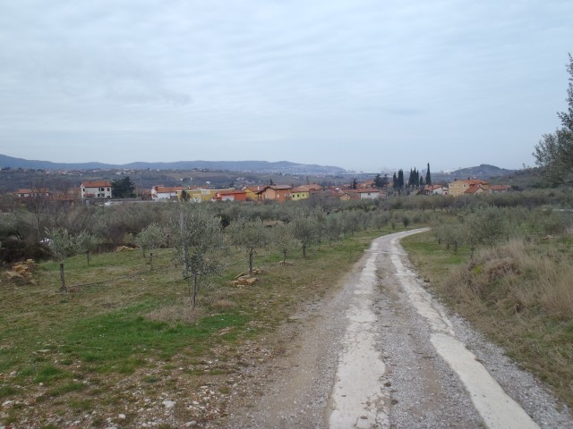 20180310 Tinjan iz Dekanov - krožna - foto