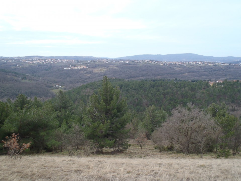 20180310 Tinjan iz Dekanov - krožna - foto povečava