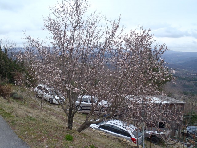 20180310 Tinjan iz Dekanov - krožna - foto