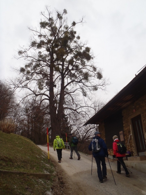 20180324 Šoberjev dvor-Tojzlov in Žavcarjev v - foto