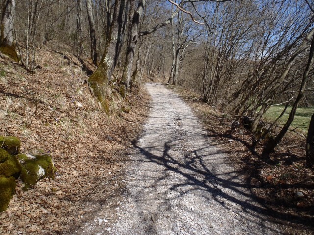 20180407 Škocjan-Artviže-Markovščina-Slavnik - foto