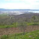 Koper.