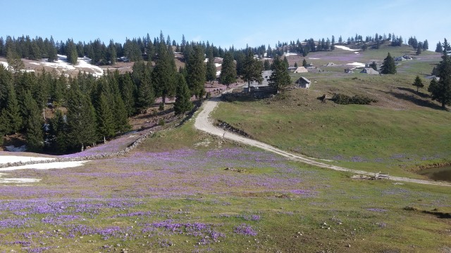 20180418 Velika planina - foto