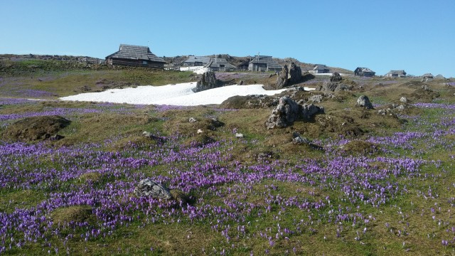 20180418 Velika planina - foto