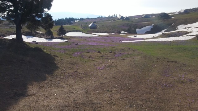 20180418 Velika planina - foto