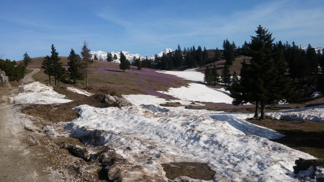 20180418 Velika planina - foto