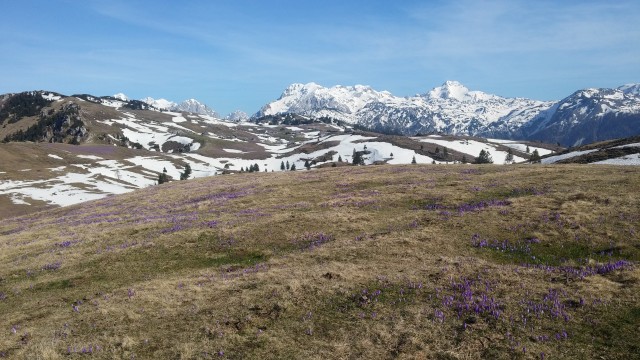 20180418 Velika planina - foto