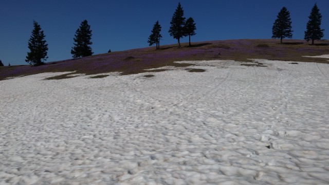 20180418 Velika planina - foto