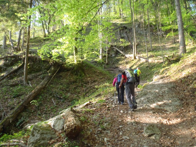 20180422 Krim   in   Grmada-Šmarna gora - foto