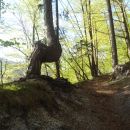 Igra narave.