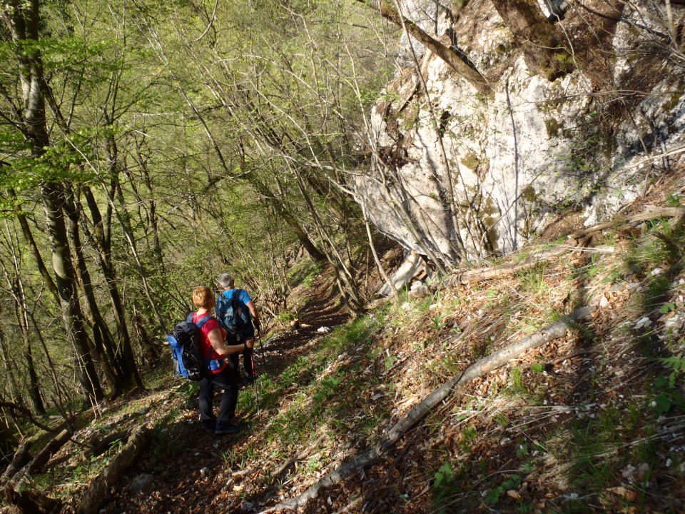 20180422 Krim   in   Grmada-Šmarna gora - foto povečava