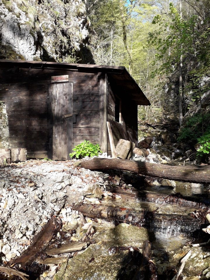 20180422 Krim   in   Grmada-Šmarna gora - foto povečava