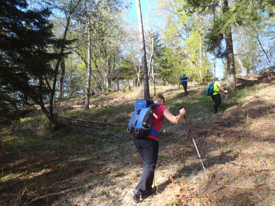 20180422 Krim   in   Grmada-Šmarna gora - foto povečava