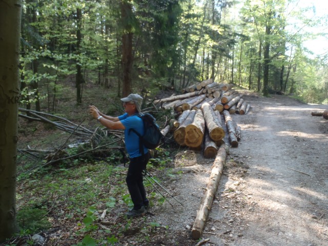 20180422 Krim   in   Grmada-Šmarna gora - foto