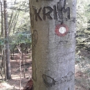 Rastoči kažipot.