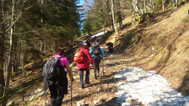 20180421 Velika planina - foto