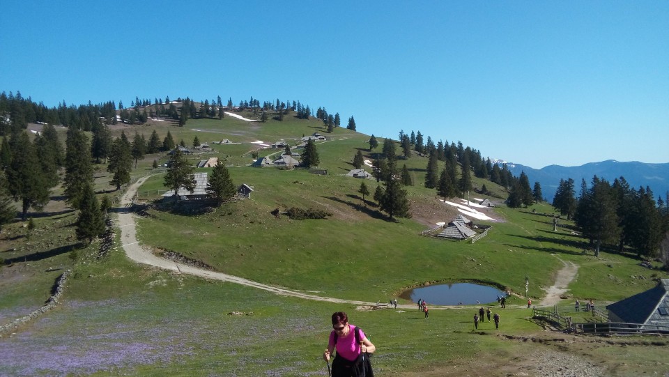 20180421 Velika planina - foto povečava