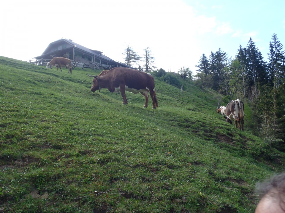 20180502 Begunjščica, Draga-Prevala-Roblek - foto povečava