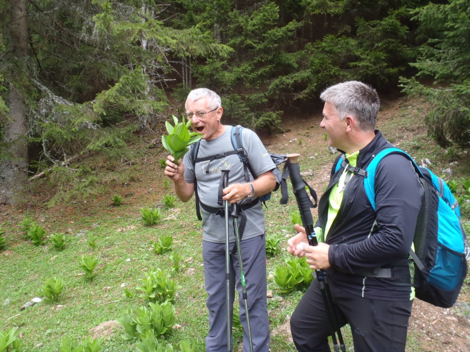 20180502 Begunjščica, Draga-Prevala-Roblek - foto povečava