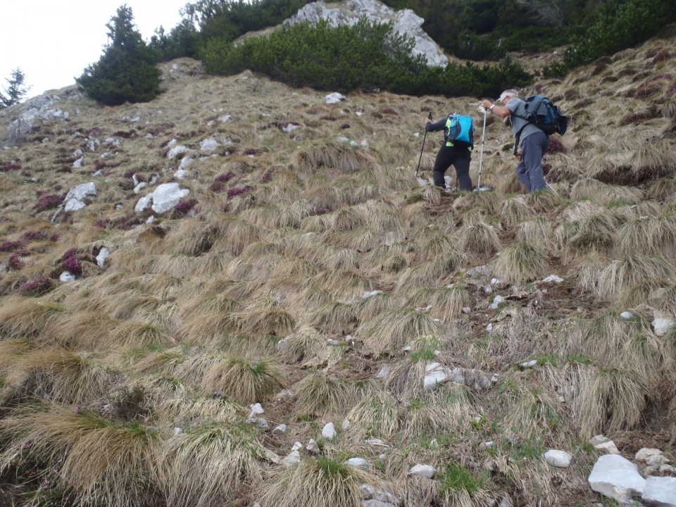 20180502 Begunjščica, Draga-Prevala-Roblek - foto povečava