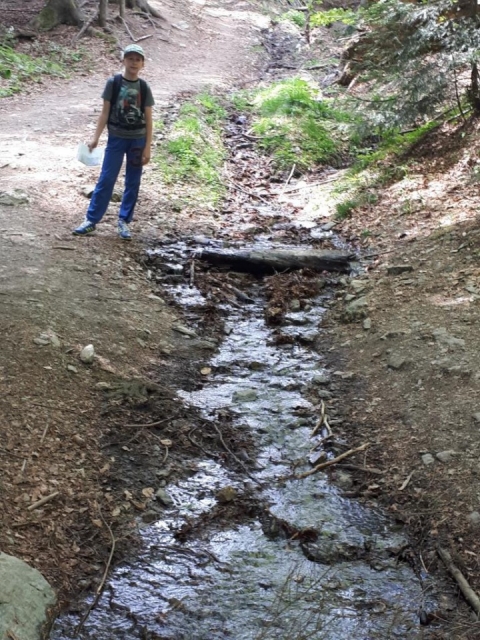 20180502 Radvanje-Mariborska-Areh, po enki - foto