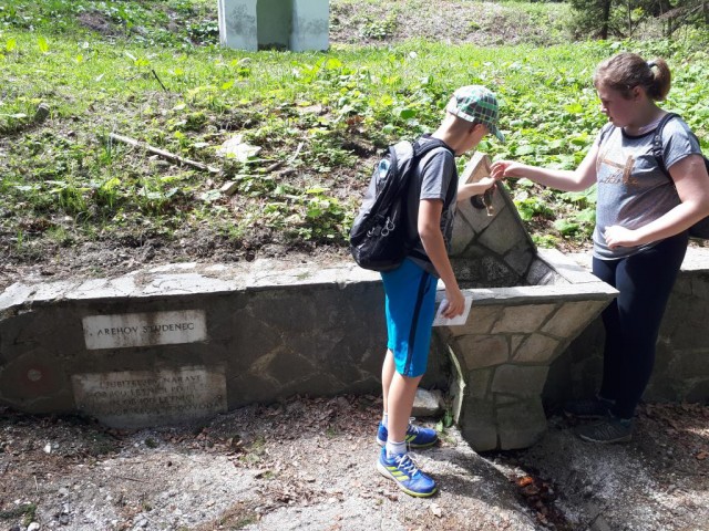 20180502 Radvanje-Mariborska-Areh, po enki - foto