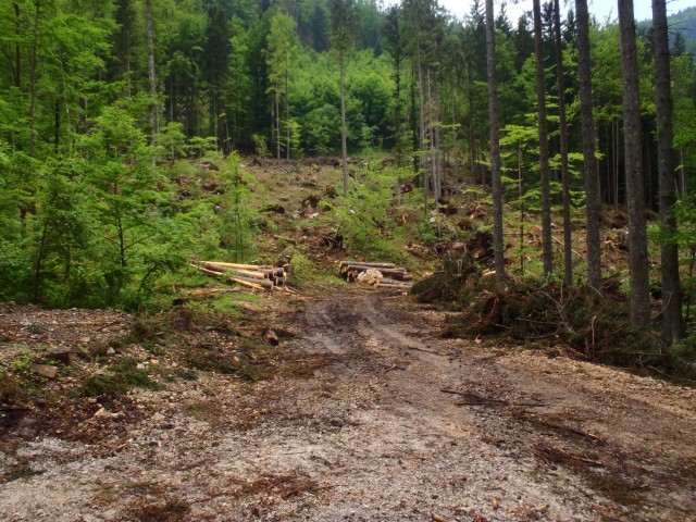 20180520 Ferata-mokra,Češka koča in Brdo - foto