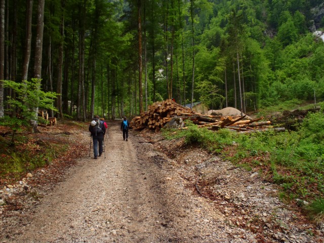 20180520 Ferata-mokra,Češka koča in Brdo - foto