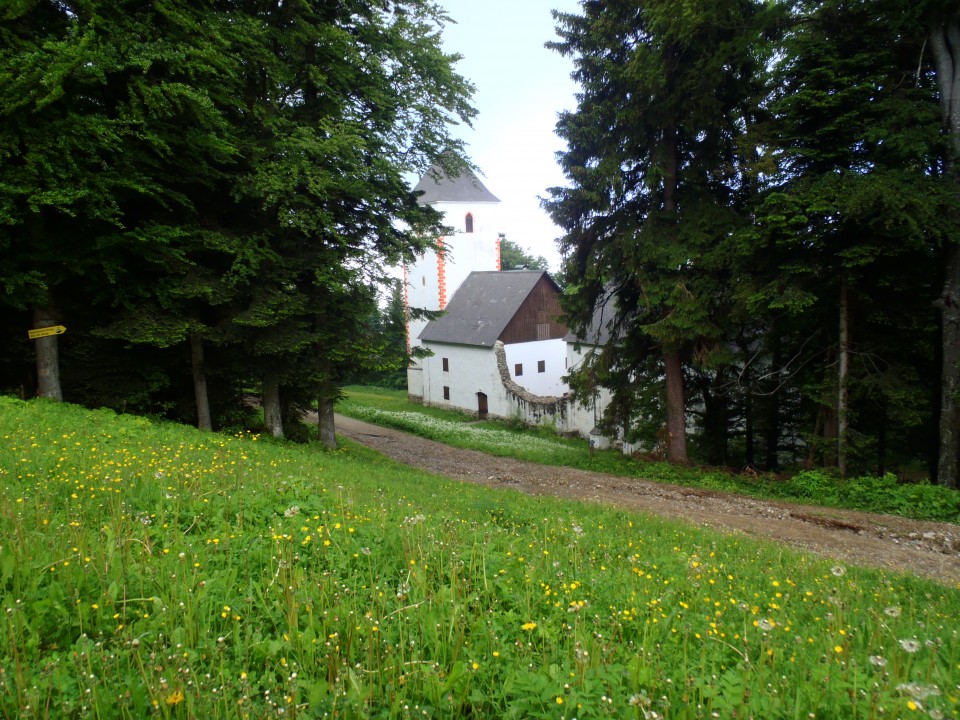 20180526 Pohorje Habakuk-Mariborska koča - foto povečava